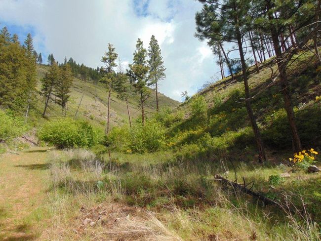 27235 Lazy Springs Rd, Home with 0 bedrooms, 0 bathrooms and null parking in Clinton MT | Image 75