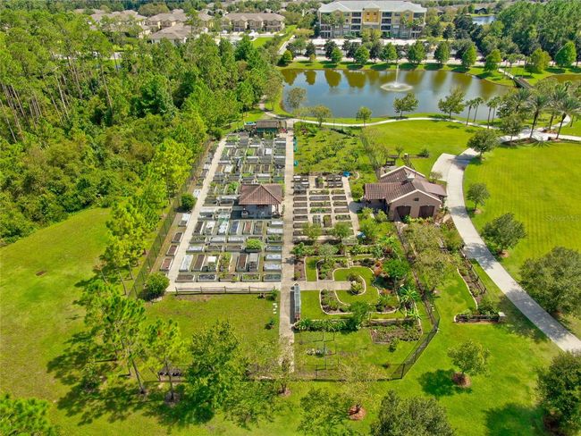 Resident-only community garden—just one of the many lifestyle amenities in Del Webb | Image 30