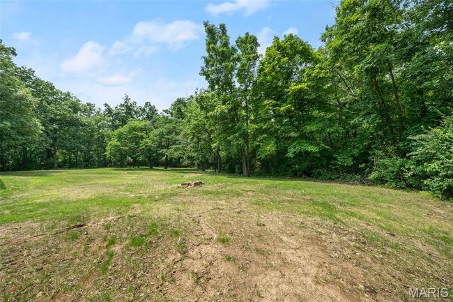 View of grassy yard with a forest view | Image 50