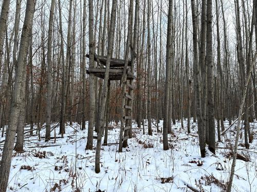 XX Old Grade Road, Timothy Twp, MN, 56474 | Card Image