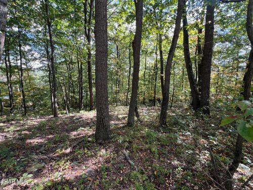 Lot 31 Woodlawn Dr, Crystal Spring, PA, 15536 | Card Image