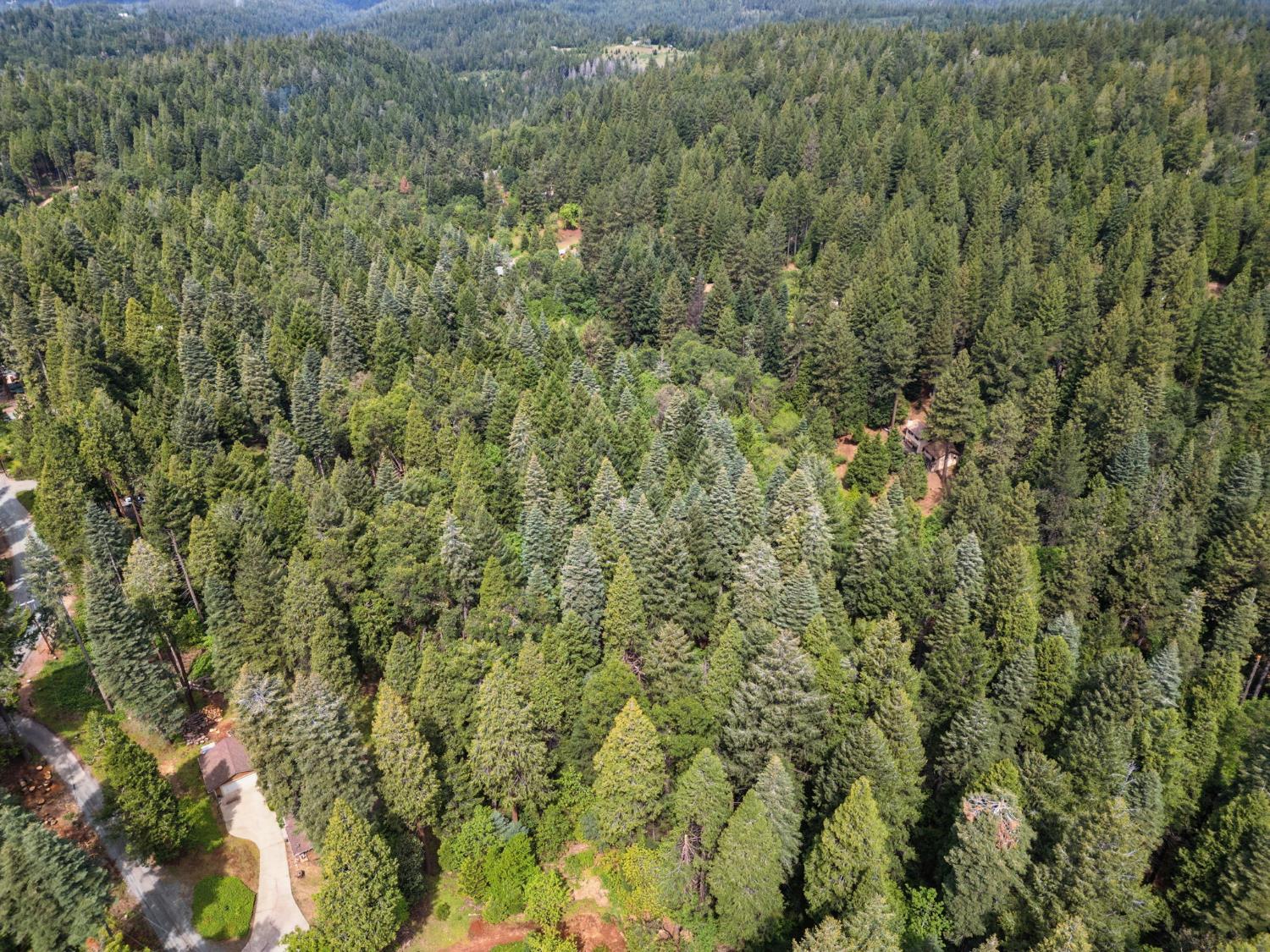 Land in Camino 4