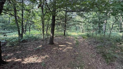 3.65 AC W Limits Road, LYNDON STATION, WI, 53944 | Card Image