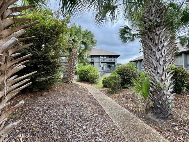 Path to Lanai Bldg H | Image 5