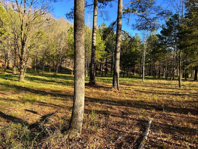 4 Hiwassee Rd, Home with 0 bedrooms, 0 bathrooms and null parking in Calhoun TN | Image 12