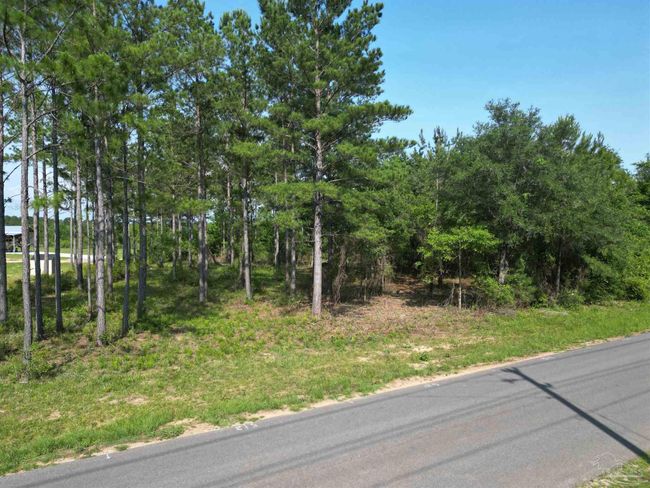 7724 Tidwell Rd, Home with 0 bedrooms, 0 bathrooms and null parking in Pace FL | Image 11