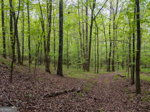 V/L Georgia Kaolin Road, Dry Branch, GA, 31020 | Card Image
