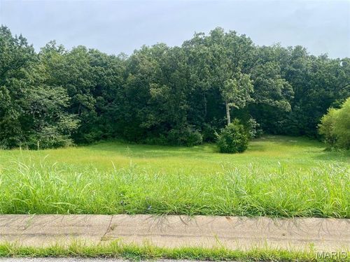 132 Rainbow Lake Dr, Villa Ridge, MO, 63089-1726 | Card Image
