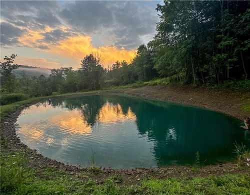 VL County Route 33, Bolivar, NY, 14715 | Card Image