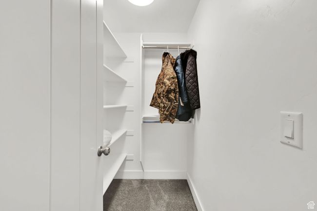 Spacious closet with carpet | Image 33