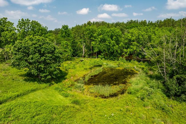 View of wooded area | Image 35