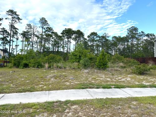 1732 E Coronado Ave Se, Bolivia, NC, 28422-0900 | Card Image