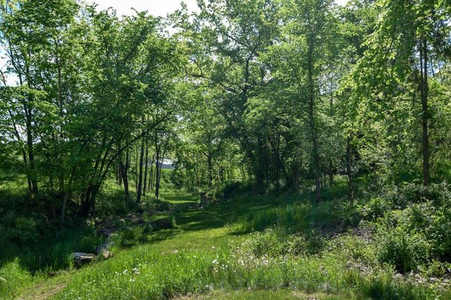 Lot 1 Stone Valley Road, Home with 0 bedrooms, 0 bathrooms and null parking in BERRY WI | Image 6