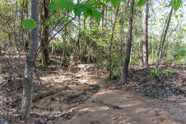 Terrain could provide a nice landscape feature | Image 10