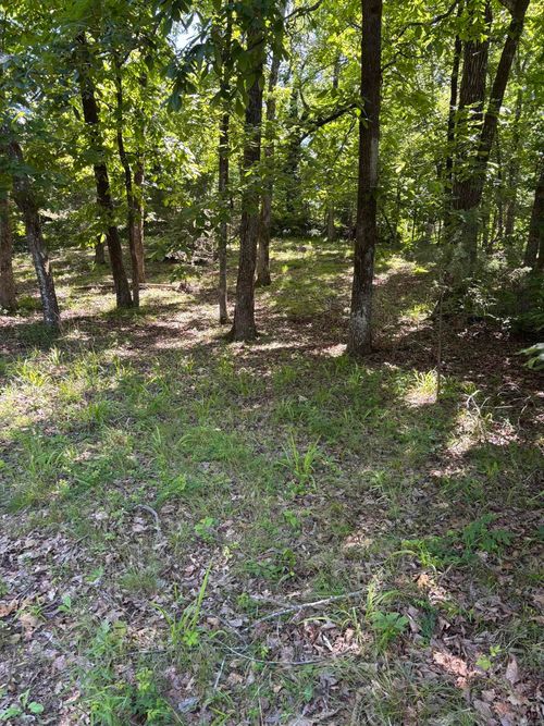 TBD N Crystal Springs Road, Royal, AR, 71968 | Card Image