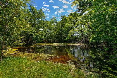 6558 Farm To Market 1119, Home with 3 bedrooms, 1 bathrooms and null parking in Centerville TX | Image 3