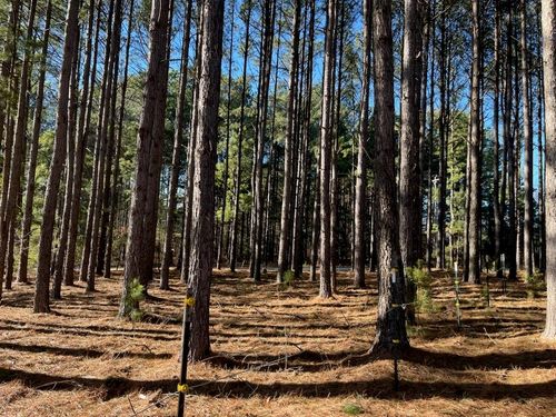 2075 Mount Lebanon Rd, Campobello, SC, 29322-8023 | Card Image