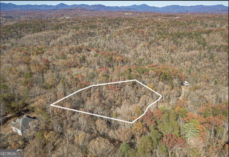 Land in Dahlonega 3