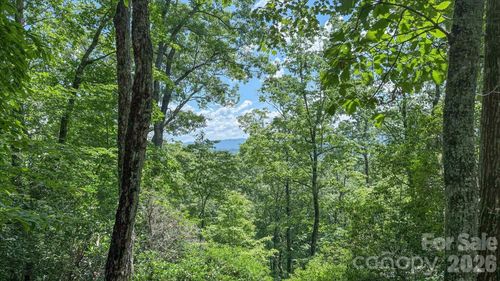 l40-TBD Stone Drive, Brevard, NC, 28712 | Card Image