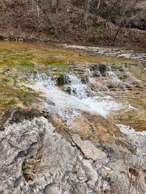 000 Skyline Dr, Bradleyville, MO, 65614 | Card Image