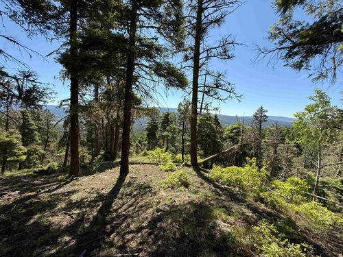 36 Brazos Dr, Angel Fire, NM, 87710-8119 | Card Image