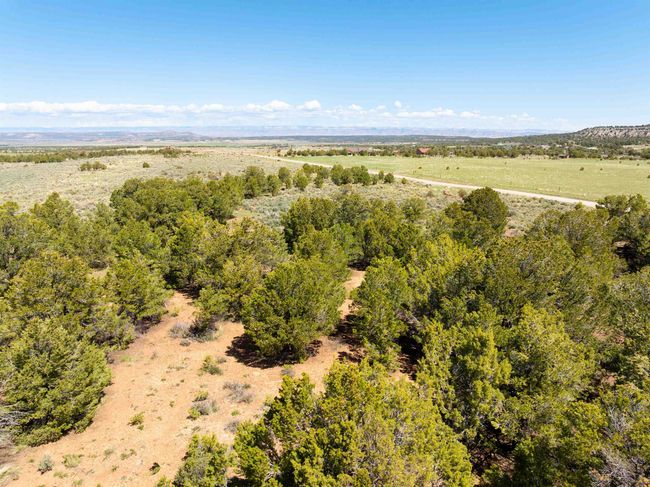 15770 Masters Ranch Dr, Home with 0 bedrooms, 0 bathrooms and null parking in Glade Park CO | Image 17