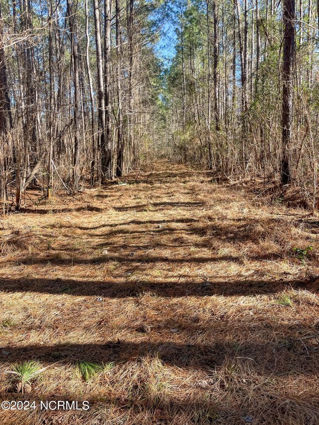 00 Sykes Town Rd, Home with 0 bedrooms, 0 bathrooms and null parking in Currie NC | Image 61