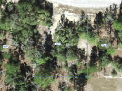 6648 N Sand Dr, CITRUS SPRINGS, FL, 34433 | Card Image