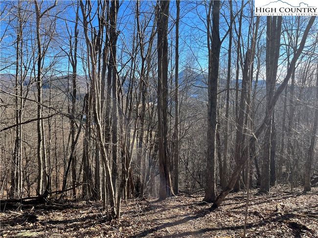 33 Paradise Valley Circle, Home with 0 bedrooms, 0 bathrooms and null parking in Creston NC | Image 6