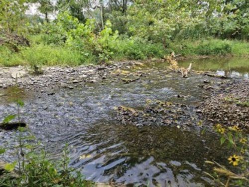 0 Shoal Bluff Rd, Goodspring, TN, 38460 | Card Image