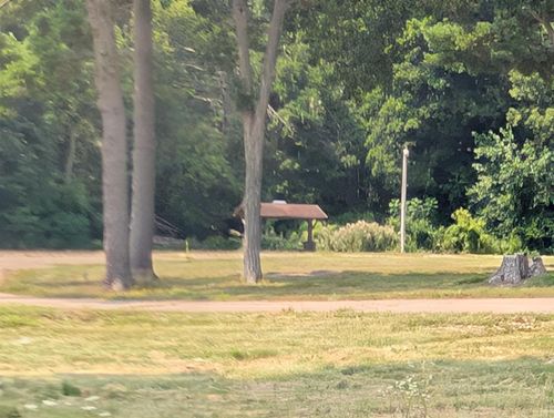 N4745 Otto Road, MUKWA, WI, 54961 | Card Image