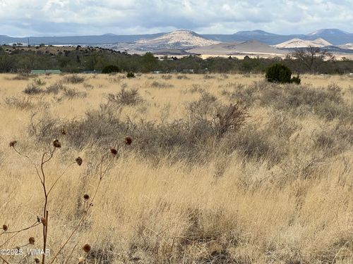 TBD W Main St, Springerville, AZ, 85938 | Card Image