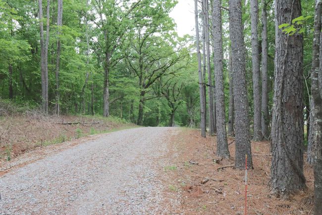 1369 Highway 365, House other with 3 bedrooms, 3 bathrooms and null parking in Iuka MS | Image 4