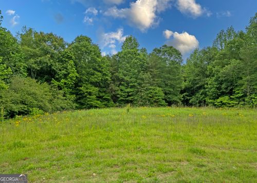 464 Deer Meadows Estates Rd, Carnesville, GA, 30521-3121 | Card Image