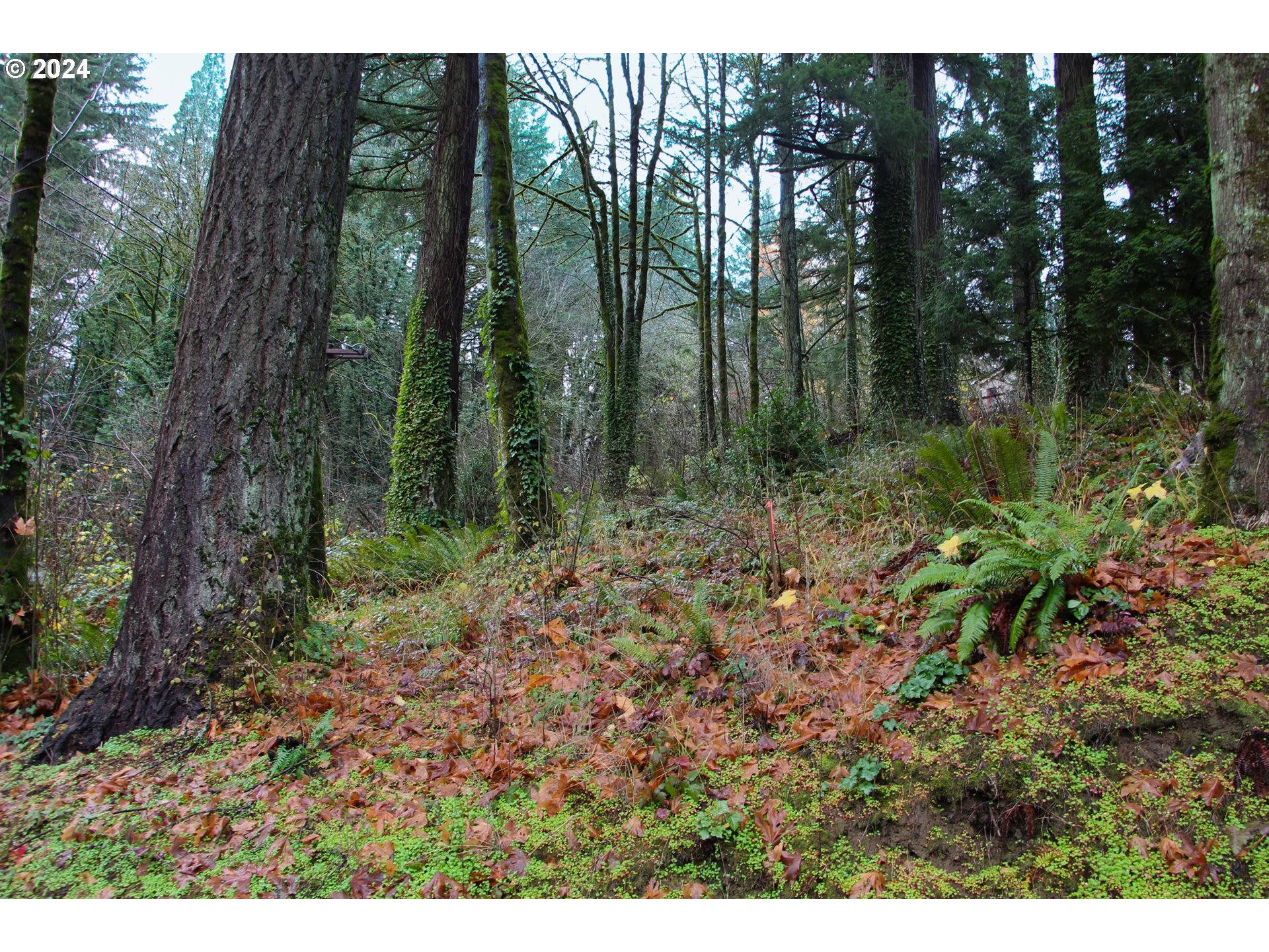 Burnside Rd, Portland, OR 97210