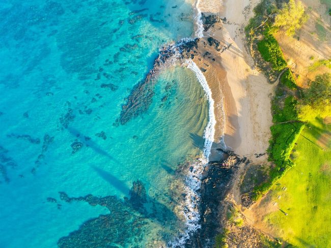 Beach | Image 46