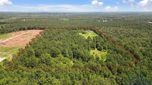 496 County Road 4081, Timpson, TX, 75975-3173 | Card Image