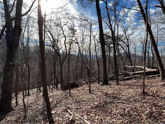4528 Sassafras Mountain Trl, Home with 0 bedrooms, 0 bathrooms and null parking in Jasper GA | Image 6