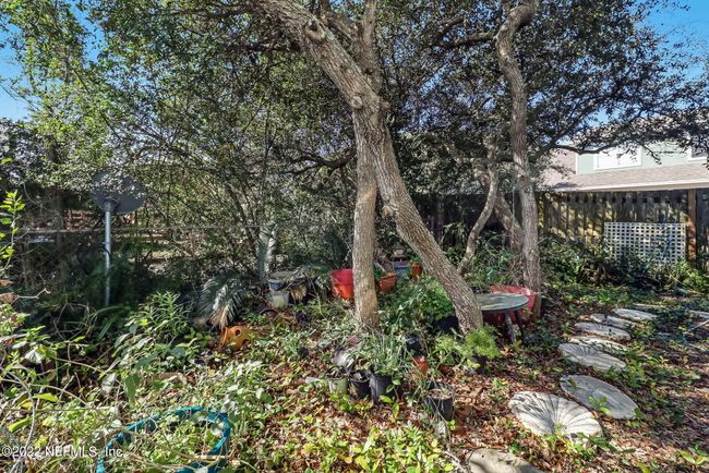 South side yard | Image 26