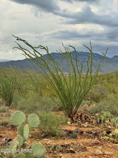 00 Justa Road, Vail, AZ, 85641 | Card Image