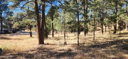 604 White Mountain Meadows Dr, Ruidoso, NM, 88345-5817 | Card Image