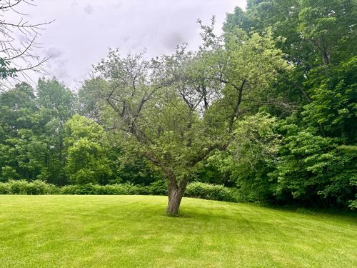 Lot 20-A Paine Rd, Dover-Foxcroft, ME, 04426-3611 | Card Image