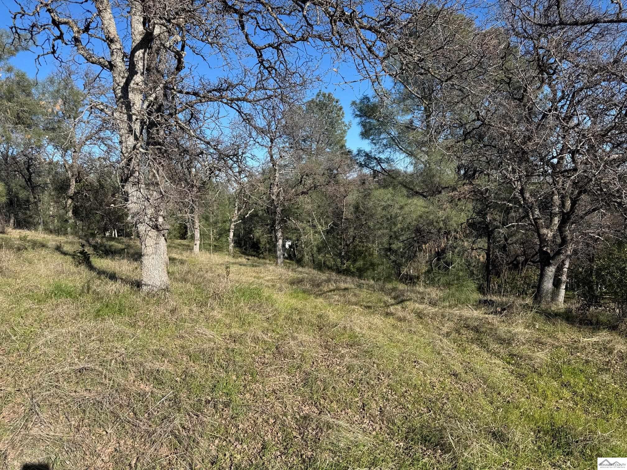 Land in Corning 3
