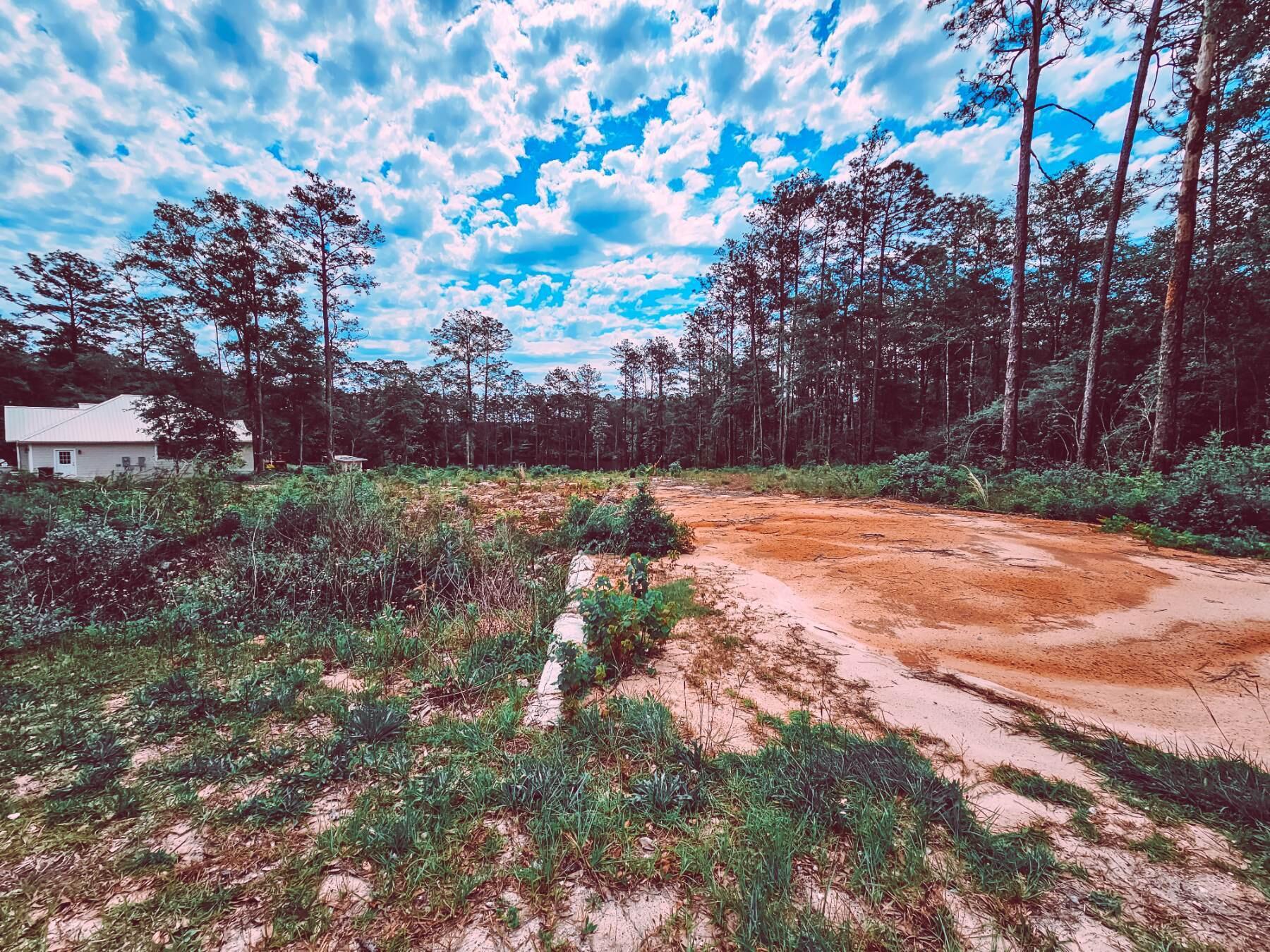 Land in DeFuniak Springs 5