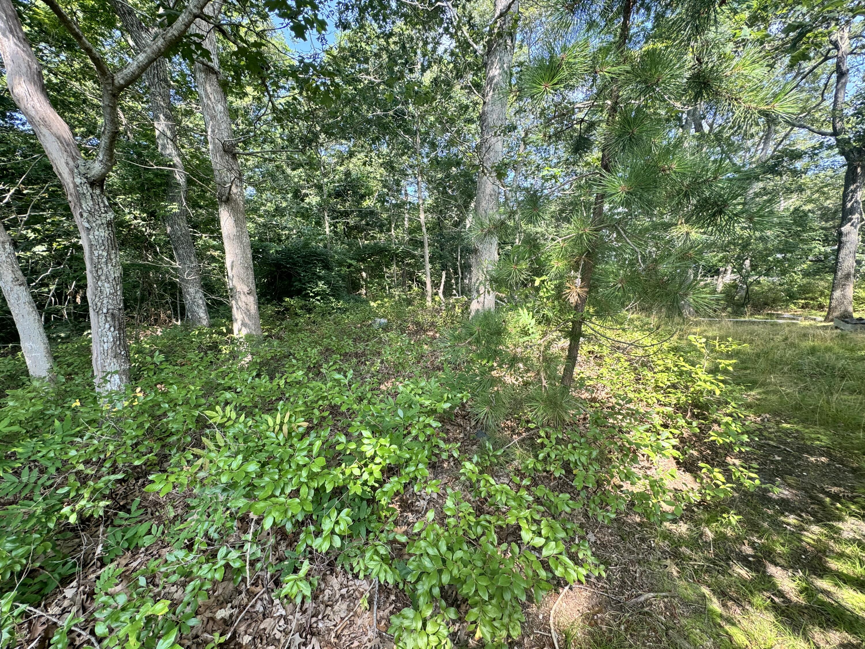 Land in Oak Bluffs 4