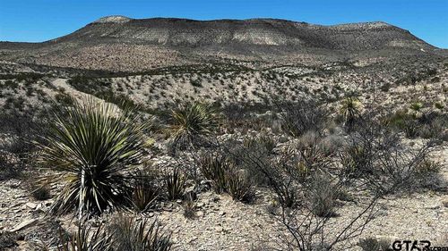 10 Trachyte Pid 21196, Terlingua, TX, 79852 | Card Image