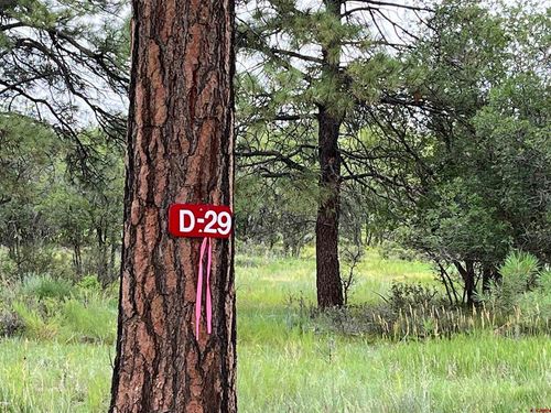 1172 Crowley Dr, Chromo, CO, 81128 | Card Image