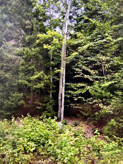 163 Sandy Acres Drive, Sullivan, ME, 04664 | Card Image