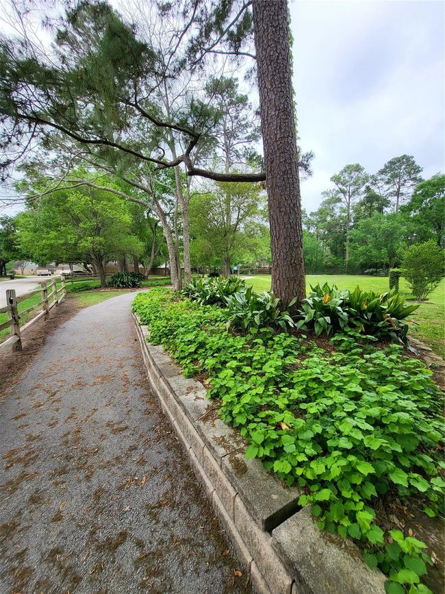 Another beautiful view of the walking garden. | Image 39