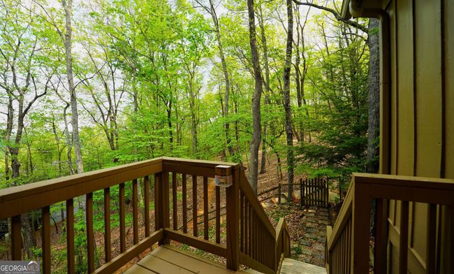 132 Ahaluna Pl, House other with 4 bedrooms, 4 bathrooms and null parking in Big Canoe GA | Image 50